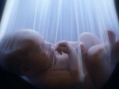 <b>羊水异常对胎儿有哪些影响？</b>